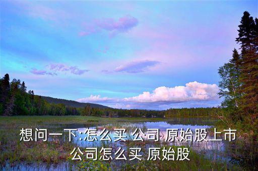 想問(wèn)一下:怎么買 公司 原始股上市 公司怎么買 原始股