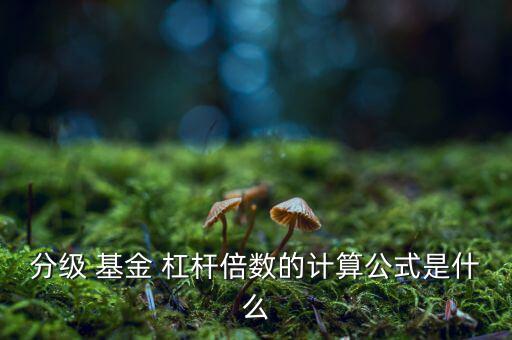 分級 基金 杠桿倍數(shù)的計算公式是什么