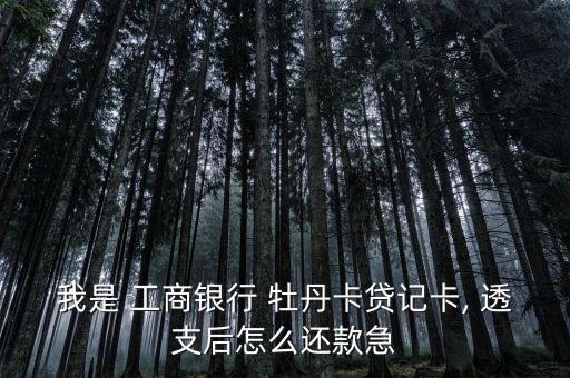 我是 工商銀行 牡丹卡貸記卡, 透支后怎么還款急