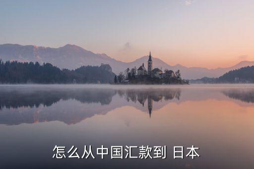 900萬日元現(xiàn)鈔怎么匯到日本,日本銀行跨境匯款收費標準