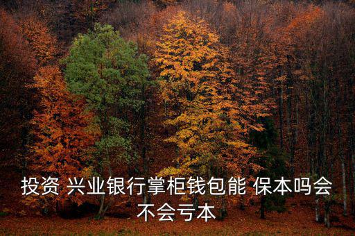 投資 興業(yè)銀行掌柜錢(qián)包能 保本嗎會(huì)不會(huì)虧本