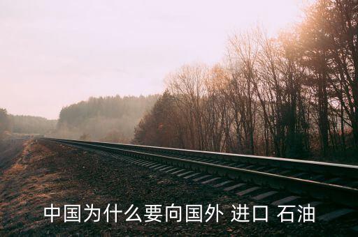 中國為什么要向國外 進(jìn)口 石油