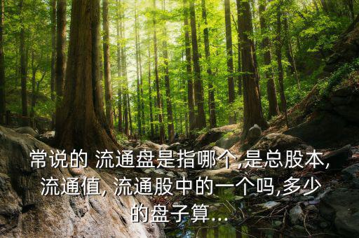 常說(shuō)的 流通盤(pán)是指哪個(gè),是總股本, 流通值, 流通股中的一個(gè)嗎,多少的盤(pán)子算...