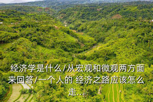  經(jīng)濟(jì)學(xué)是什么/從宏觀和微觀兩方面來回答/一個(gè)人的 經(jīng)濟(jì)之路應(yīng)該怎么走...