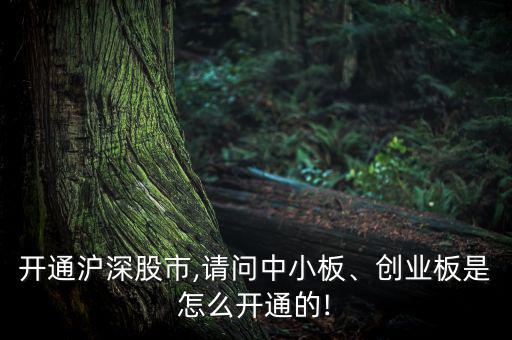 開通滬深股市,請問中小板、創(chuàng)業(yè)板是怎么開通的!