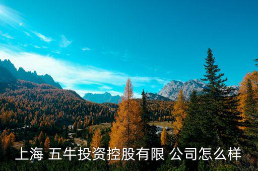 五?；鸸驹趺礃?上海五牛投資控股有限公司處于開業(yè)狀態(tài)
