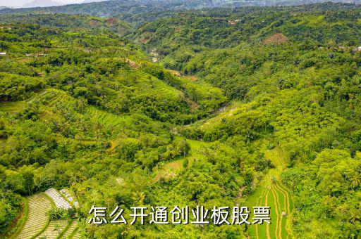 怎么開(kāi)通創(chuàng)業(yè)板股票