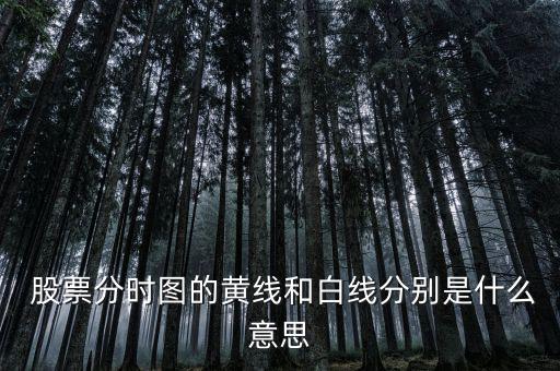 股票波浪線怎么看,股票分時圖:大盤下跌時藍線多于黃線