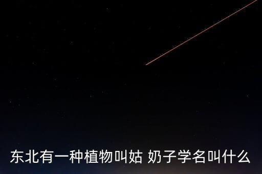 奶子頭痛怎么事情,買(mǎi)文胸要注意什么?