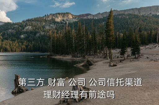 第三方財富管理公司怎么樣,恒天財富數(shù)碼化轉型實力仍很強