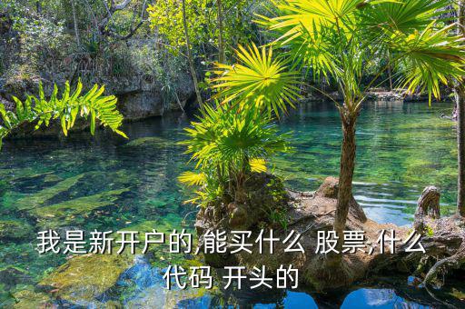 怎么開通深B購(gòu)買2開頭的股票,新股申購(gòu)須注意什么?