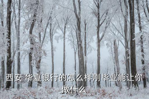 華夏銀行總會(huì)計(jì)怎么樣,股份制銀行收入明顯高于大型國(guó)有銀行