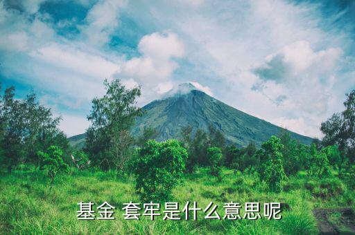  基金 套牢是什么意思呢