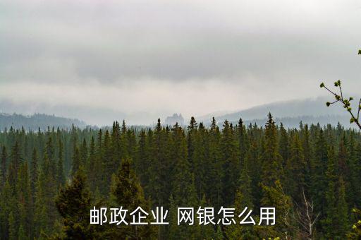  郵政企業(yè) 網(wǎng)銀怎么用