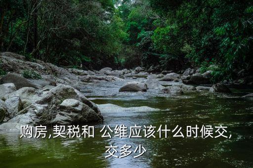 購房,契稅和 公維應(yīng)該什么時候交,交多少