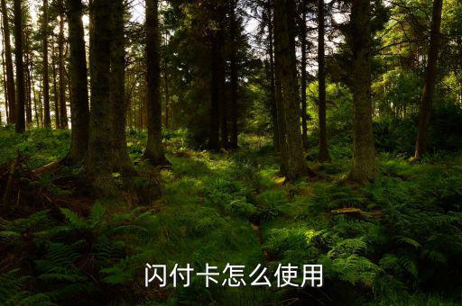 存到閃付里的錢(qián)怎么用,財(cái)富攻略（12）