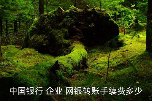 企業(yè)網(wǎng)銀怎么收費,中國農(nóng)業(yè)銀行網(wǎng)銀年服務費(%%）