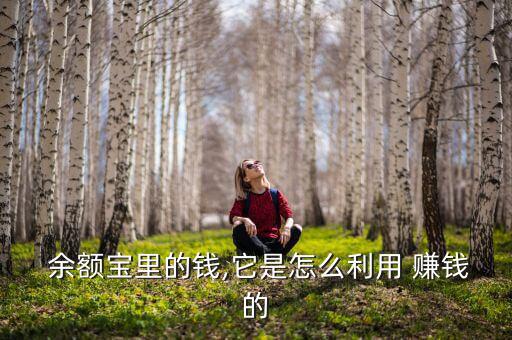 余額寶里的錢(qián),它是怎么利用 賺錢(qián)的