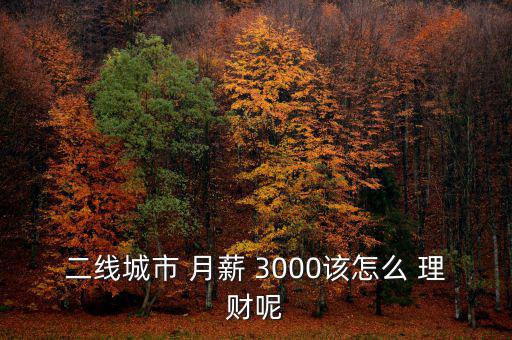 二線城市 月薪 3000該怎么 理財呢