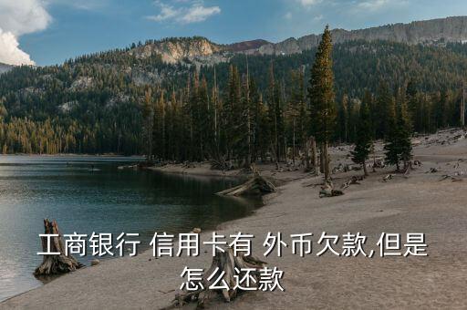 工商銀行 信用卡有 外幣欠款,但是怎么還款