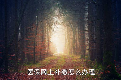 怎么補(bǔ)交醫(yī)保,因個人原因斷了社?？缮暾埞緸樽约豪U納費(fèi)用
