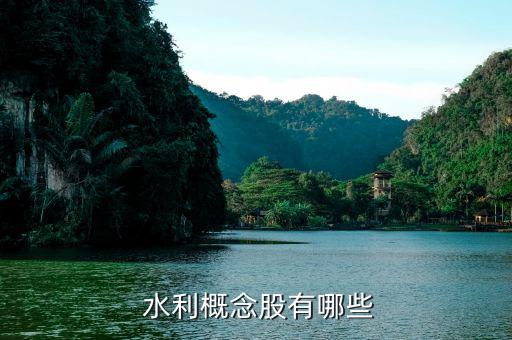 安徽水利股票怎么樣,水利股份、證券股龍頭股名單出爐