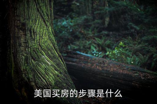 怎么買(mǎi)美國(guó)房子,如何在美國(guó)購(gòu)買(mǎi)房產(chǎn)?