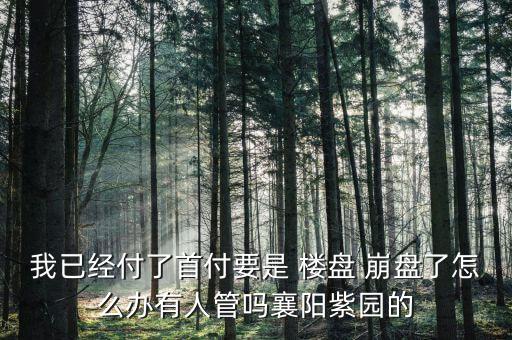 樓盤(pán)崩盤(pán)了怎么辦,中國(guó)樓市崩盤(pán)會(huì)沖擊實(shí)體經(jīng)濟(jì)和社會(huì)穩(wěn)定性