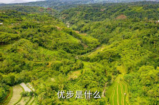 優(yōu)步滬郊短駁是什么，我的車符合UBER高級轎車為什么是人民優(yōu)步的價格