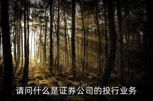 什么是類(lèi)投行業(yè)務(wù)，請(qǐng)問(wèn)什么是證券公司的投行業(yè)務(wù)