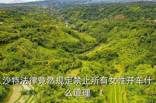 為什么沙特女人不能開車，全球唯一禁止女司機(jī)開車的是哪個國家