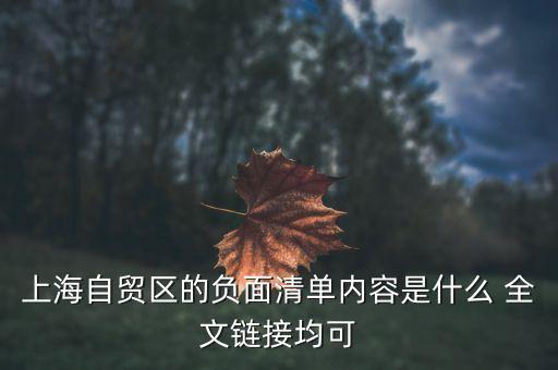 上海自貿(mào)區(qū)負面清單什么意思，上海自貿(mào)區(qū)負面清單制度的實施有哪些經(jīng)濟意義