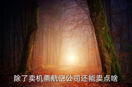 什么叫空地聯(lián)運(yùn)，昆明火車站候機(jī)