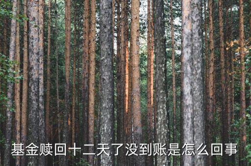 贖回成13天了為什么錢沒到賬，基金贖回成功了 為什么還沒到帳