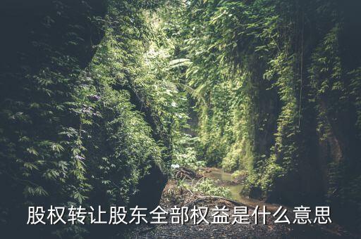 什么是全權(quán)益公司，股權(quán)轉(zhuǎn)讓股東全部權(quán)益是什么意思