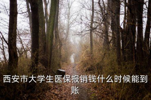 大學(xué)生醫(yī)保什么時(shí)候到賬，大學(xué)生武漢醫(yī)保報(bào)銷費(fèi)什么時(shí)候到帳啊