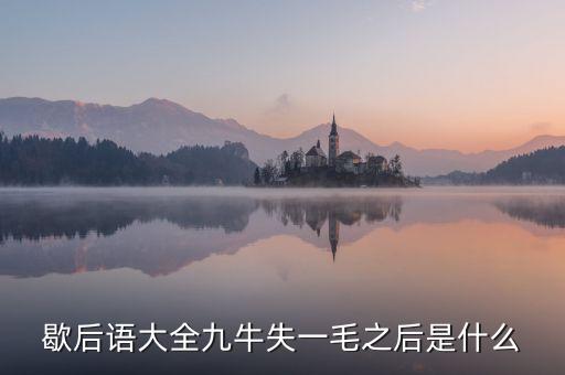 九牛失一毛的下預(yù)示什么，九牛失一毛