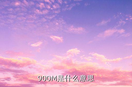 負債900m是什么意思，900m是什么意思