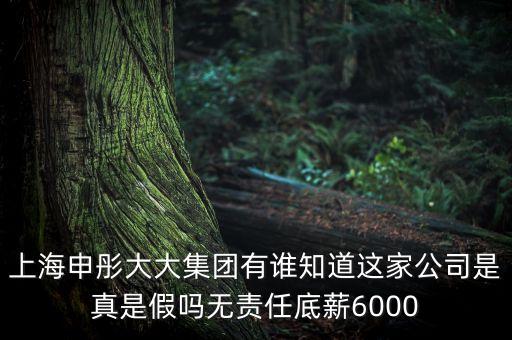 申彤大大集團賺的什么錢發(fā)工資，上海申彤大大集團有誰知道這家公司是真是假嗎無責任底薪6000