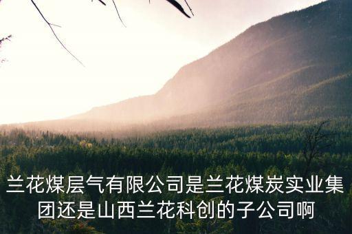 山西蘭花有什么煤層氣公司，山西蘭花煤炭實(shí)業(yè)集團(tuán)有限公司