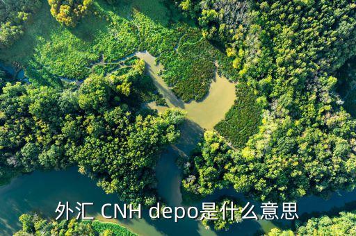 外匯de30是什么，新手一枚想知道TigerWit老虎外匯中的us30是什么意思