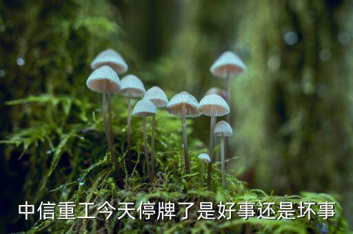 中信重工什么時候復(fù)牌，中信重工今天停牌了是好事還是壞事