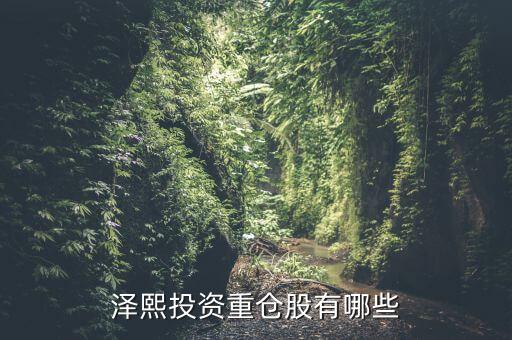 2014年澤熙投資資金介入什么股，請問在哪里能看到澤熙投資參與調研過哪些股票