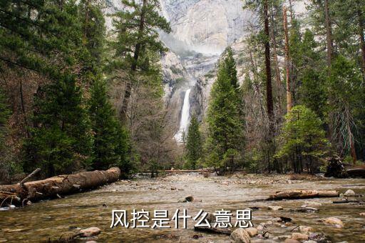 什么事金融抑制，金融約束論與金融抑制論的根本區(qū)別是什么