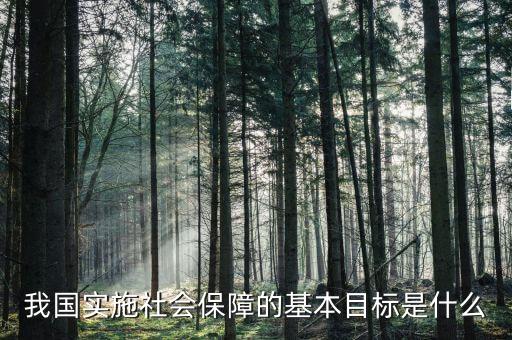 我國(guó)實(shí)施社會(huì)保障的基本目標(biāo)是什么