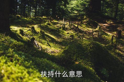 扶持力度什么意思，什么叫扶持扶持是不是等于給予呢