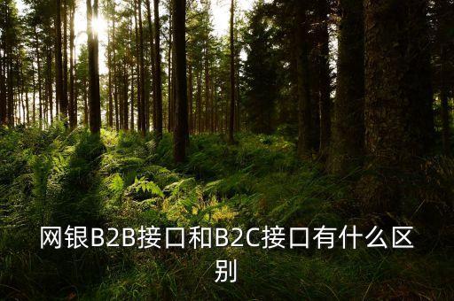 什么是經(jīng)濟(jì)組織對消費(fèi)者，網(wǎng)銀B2B接口和B2C接口有什么區(qū)別