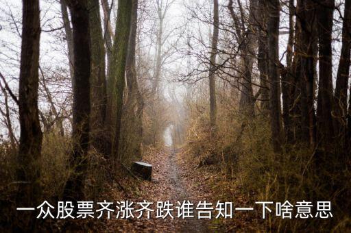 股票量價齊跌意味著什么，這幾天大盤量價齊跌從技術角度說明什么