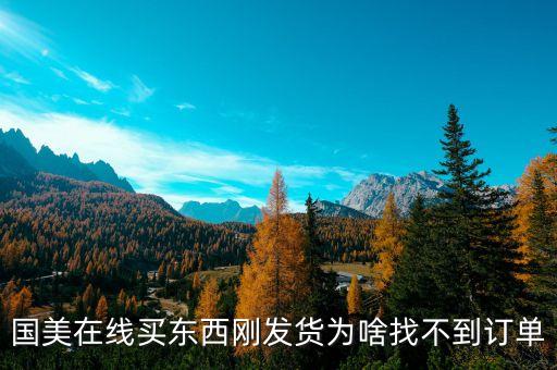國美待發(fā)貨為什么查不到訂單，國美 已付款為何沒有顯示定單
