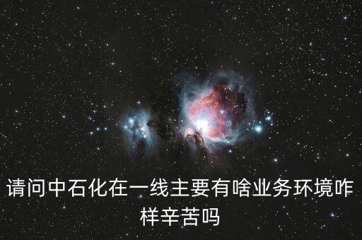 請問中石化在一線主要有啥業(yè)務環(huán)境咋樣辛苦嗎